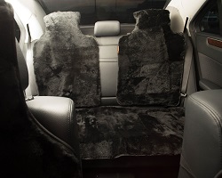 Huse Premium Negru Spate