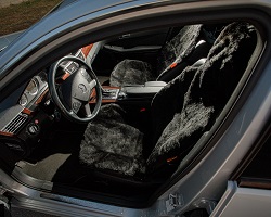 Huse Premium Negru Față