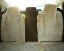 Huse Standard Alb Spate